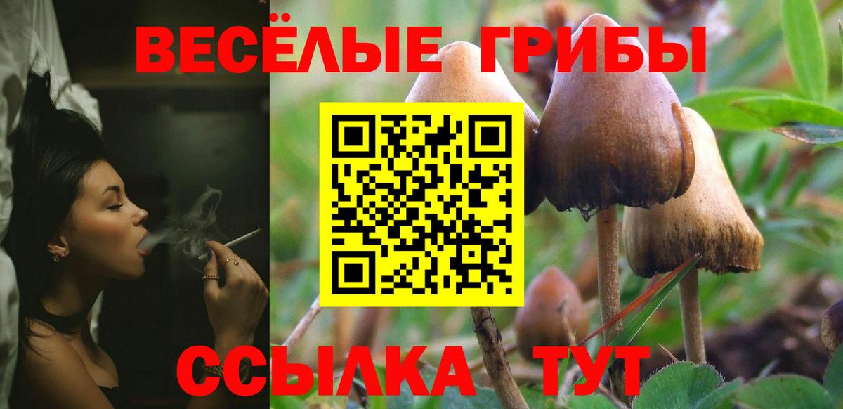 Минеральные Воды  Псилоцибиновые грибы MAGIC MUSHROOMS  Вход с VPN  Галлюциногенные грибы мицелий 